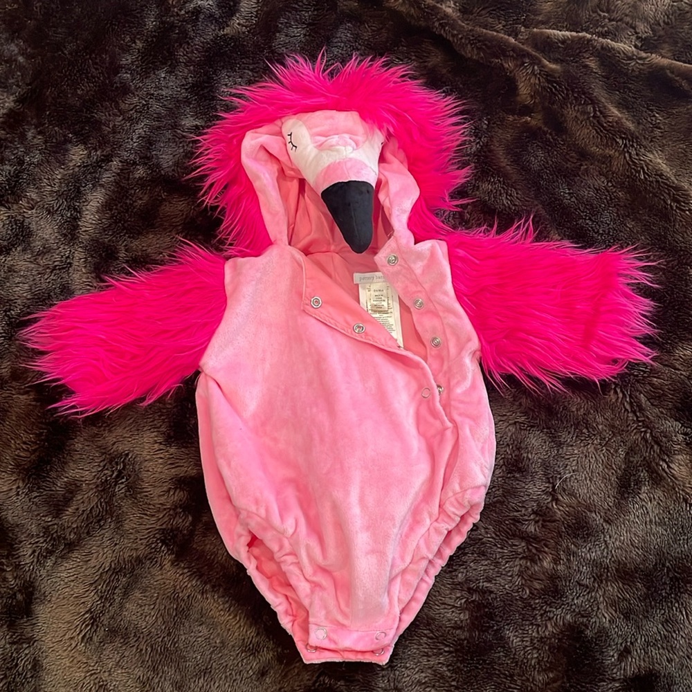Pottery barn kids 0-6 mos Flamingo costume